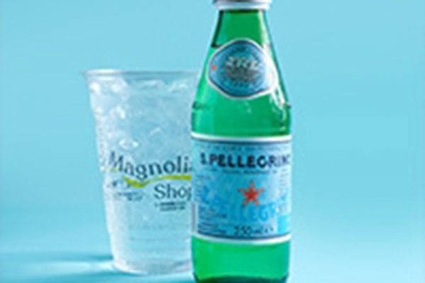 San Pellegrino 250 Ml
